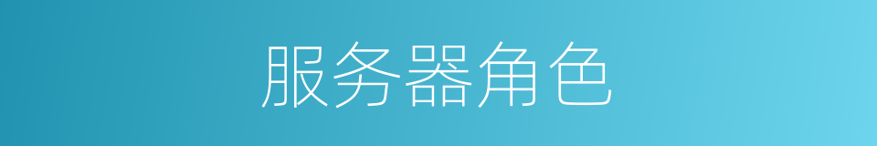 服务器角色的同义词
