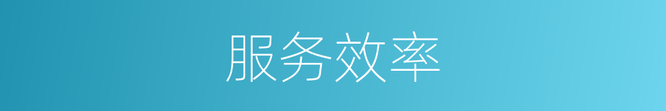 服务效率的意思