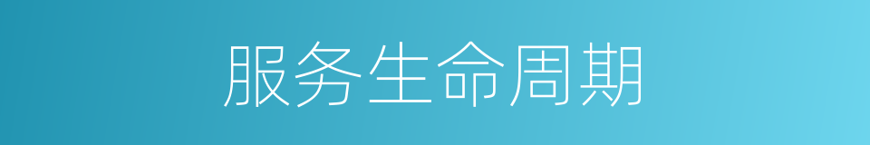 服务生命周期的同义词