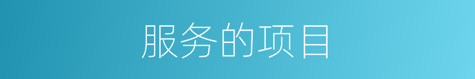 服务的项目的同义词