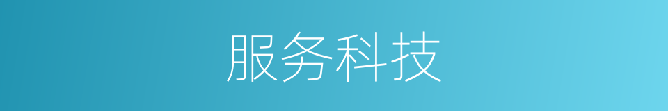 服务科技的同义词