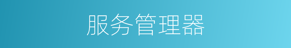 服务管理器的同义词