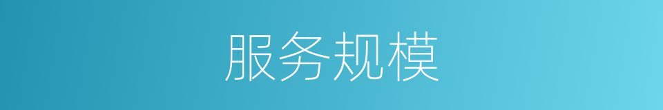 服务规模的同义词