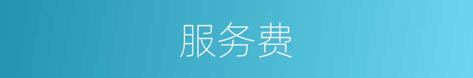服务费的意思