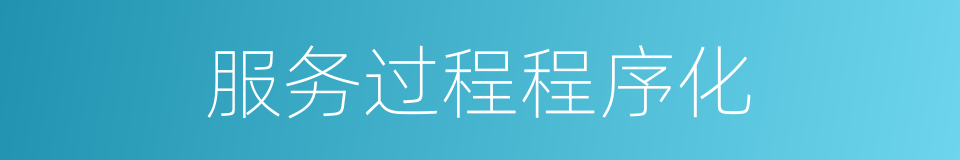 服务过程程序化的同义词
