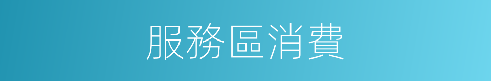 服務區消費的同義詞