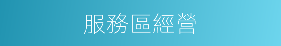 服務區經營的同義詞