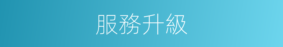 服務升級的同義詞