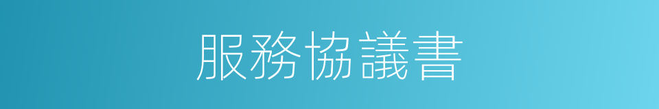 服務協議書的同義詞