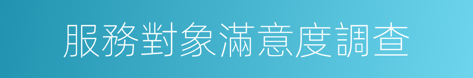 服務對象滿意度調查的同義詞