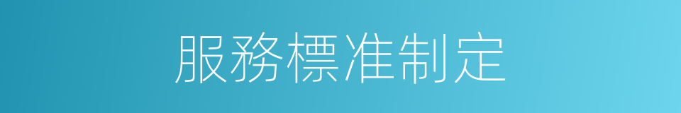 服務標准制定的同義詞