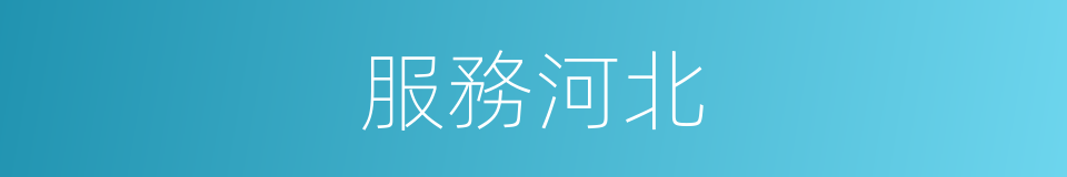 服務河北的同義詞