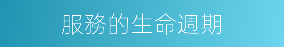 服務的生命週期的同義詞