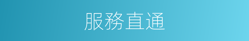 服務直通的同義詞