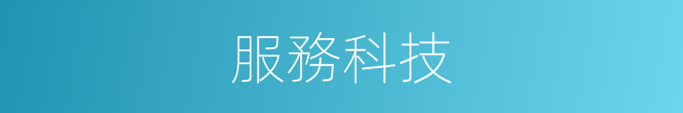 服務科技的同義詞