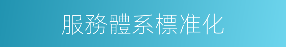 服務體系標准化的同義詞