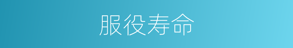 服役寿命的同义词