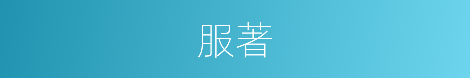 服著的意思