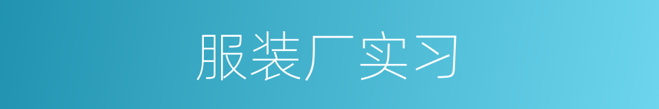 服装厂实习的同义词