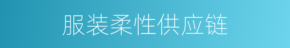 服装柔性供应链的同义词