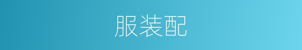 服装配的同义词