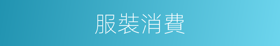 服裝消費的同義詞