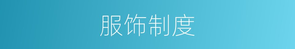 服饰制度的同义词