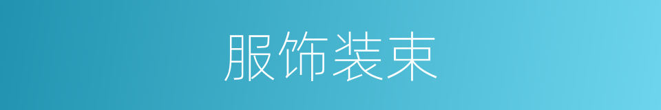 服饰装束的同义词