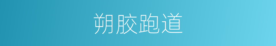 朔胶跑道的同义词