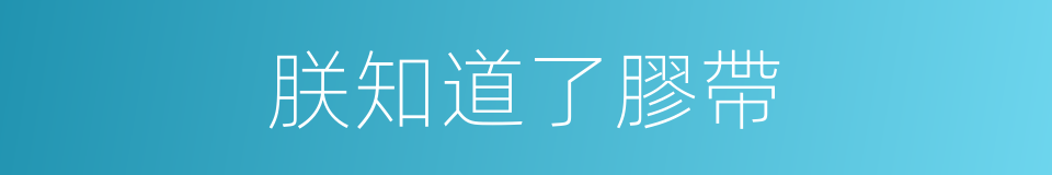 朕知道了膠帶的同義詞