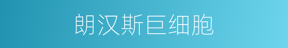 朗汉斯巨细胞的同义词