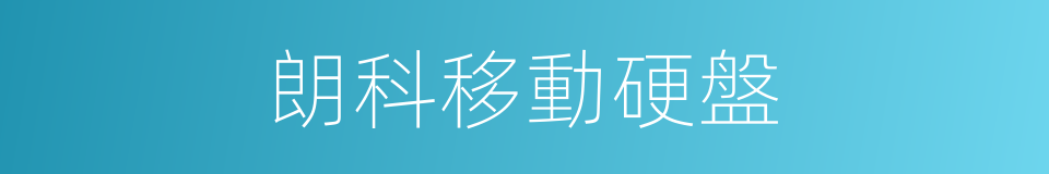 朗科移動硬盤的同義詞