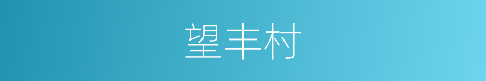 望丰村的同义词
