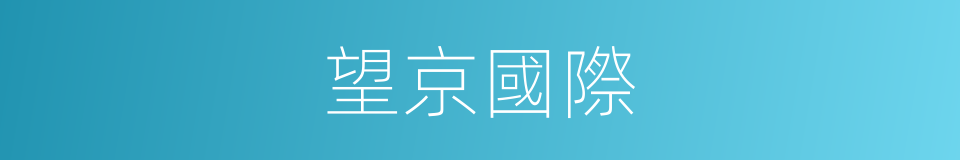 望京國際的同義詞