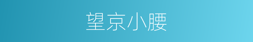 望京小腰的同义词