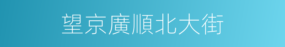 望京廣順北大街的同義詞