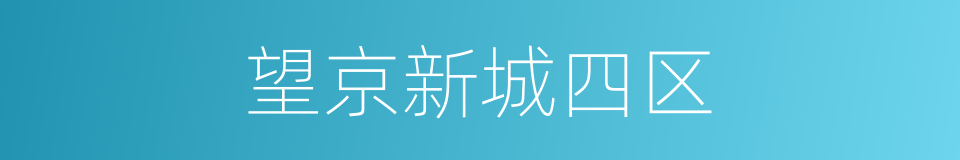 望京新城四区的同义词