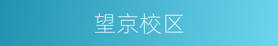 望京校区的同义词