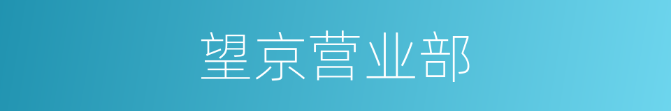 望京营业部的同义词