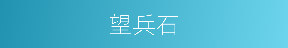 望兵石的同义词
