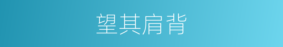 望其肩背的意思