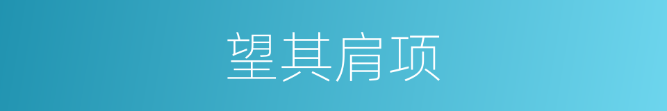 望其肩项的意思