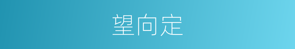 望向定的同义词