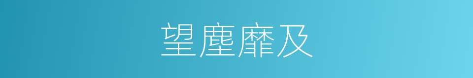 望塵靡及的意思