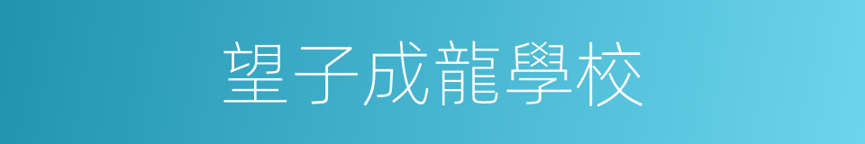 望子成龍學校的同義詞