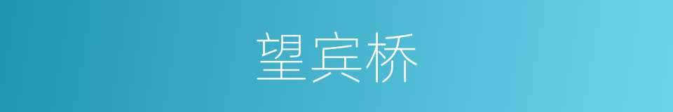 望宾桥的同义词