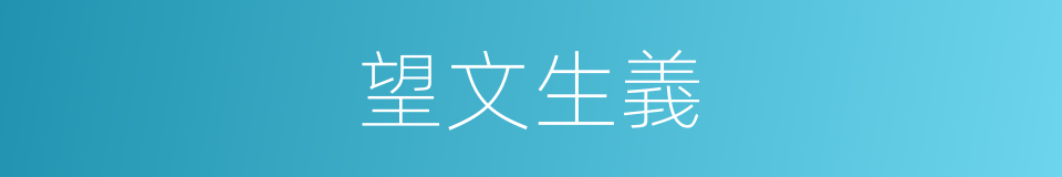 望文生義的意思