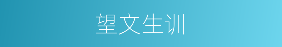 望文生训的意思