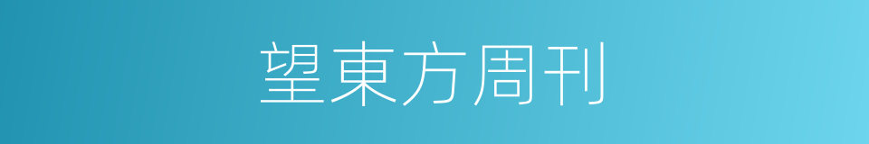 望東方周刊的同義詞