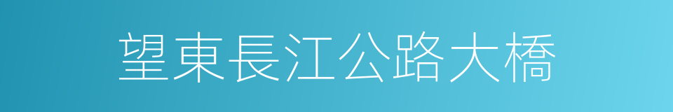 望東長江公路大橋的同義詞